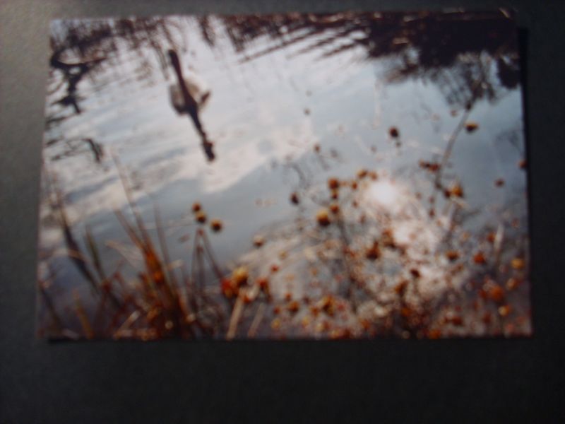 Ostara `11 Ostara `11